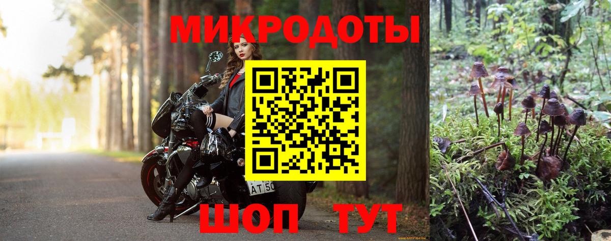 Псилоцибиновые грибы Magic Shrooms  купить закладку  Ковров  Вход с VPN 